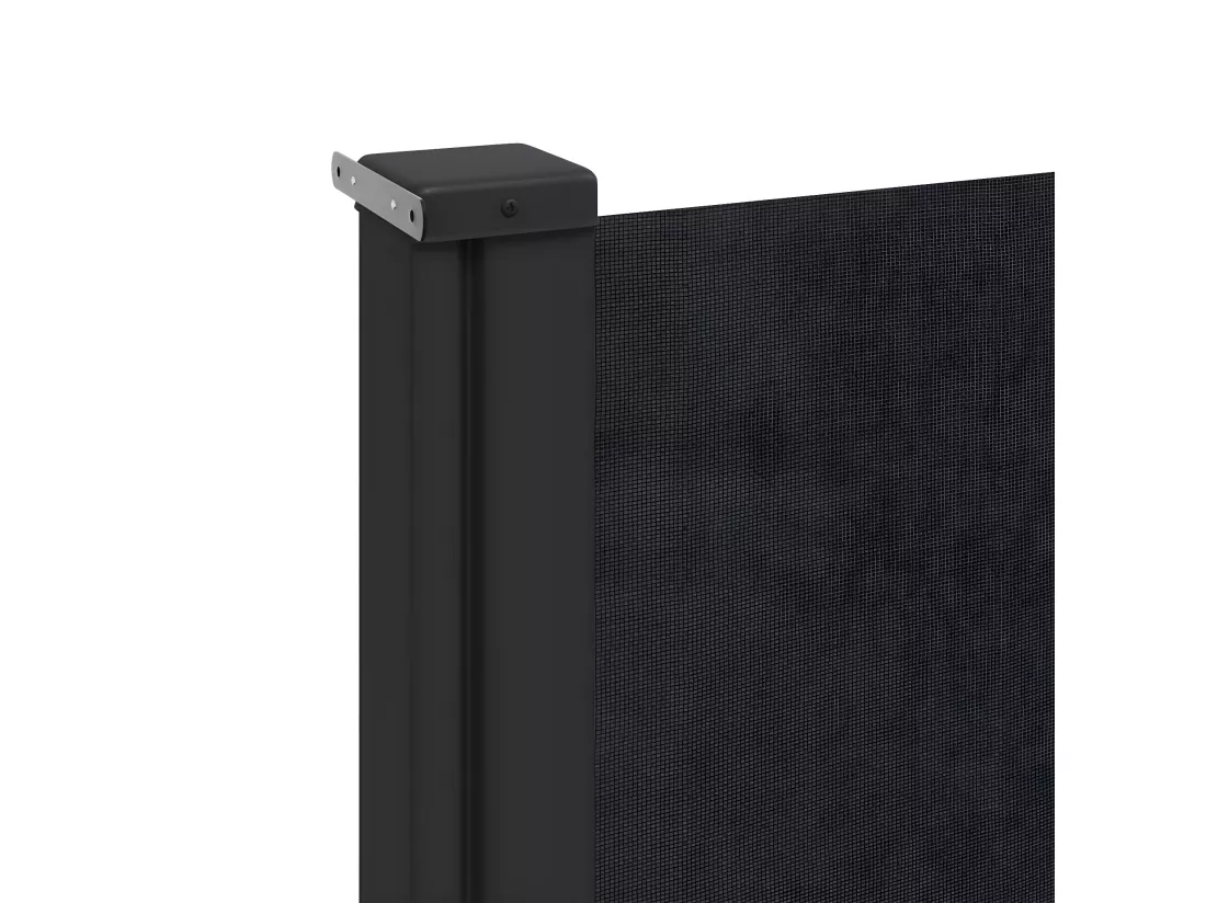 Auvent latéral rétractable noir 220x500 cm