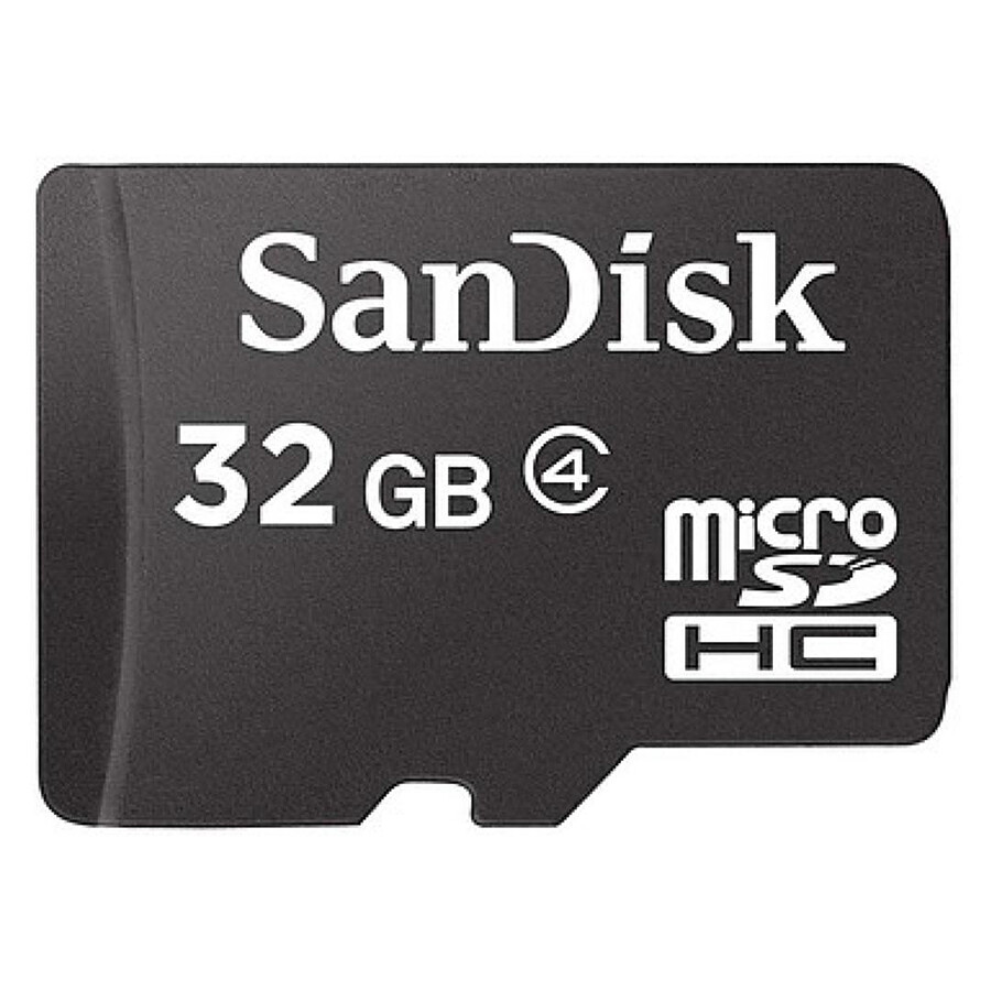 SanDisk Carte mémoire microSDHC 32 Go