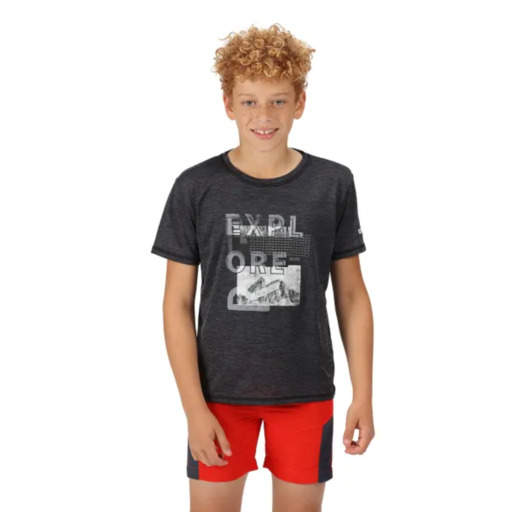 Camiseta de manga curta Regatta Alvarado VI Rkt133