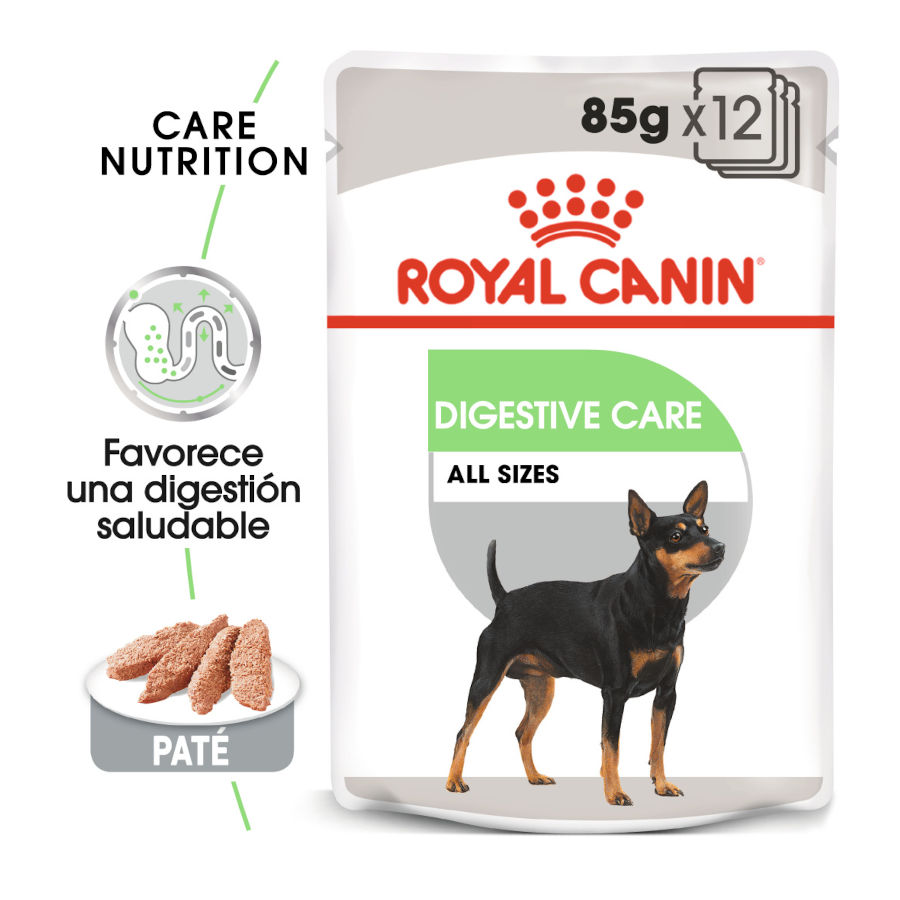 Sachês de patê Royal Canin Digestive Care para cães