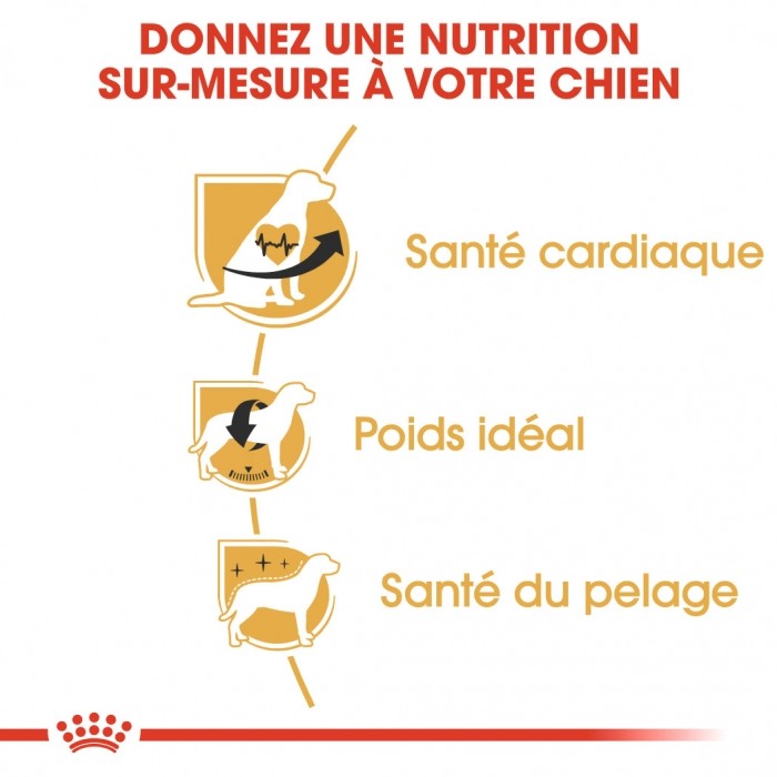 Royal Canin Cavalier King Charles Adult - Croquettes pour chien