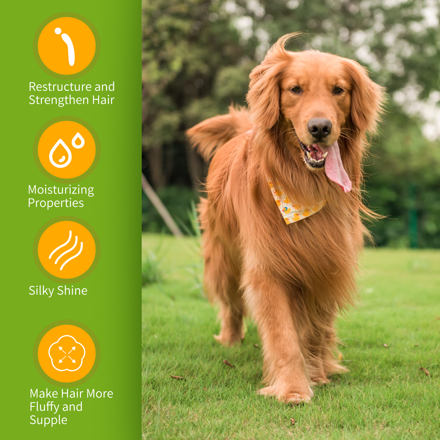 Shampoo Nobleza para Cães de Pelo Longo, Shampoo para Cães com Pele Sensível e Dermatite, Shampoo Anti-Odor para Cães com Extrato de Folha de Camellia Sinernsis, Fragrância de Lavanda e Cítricos 250 ml