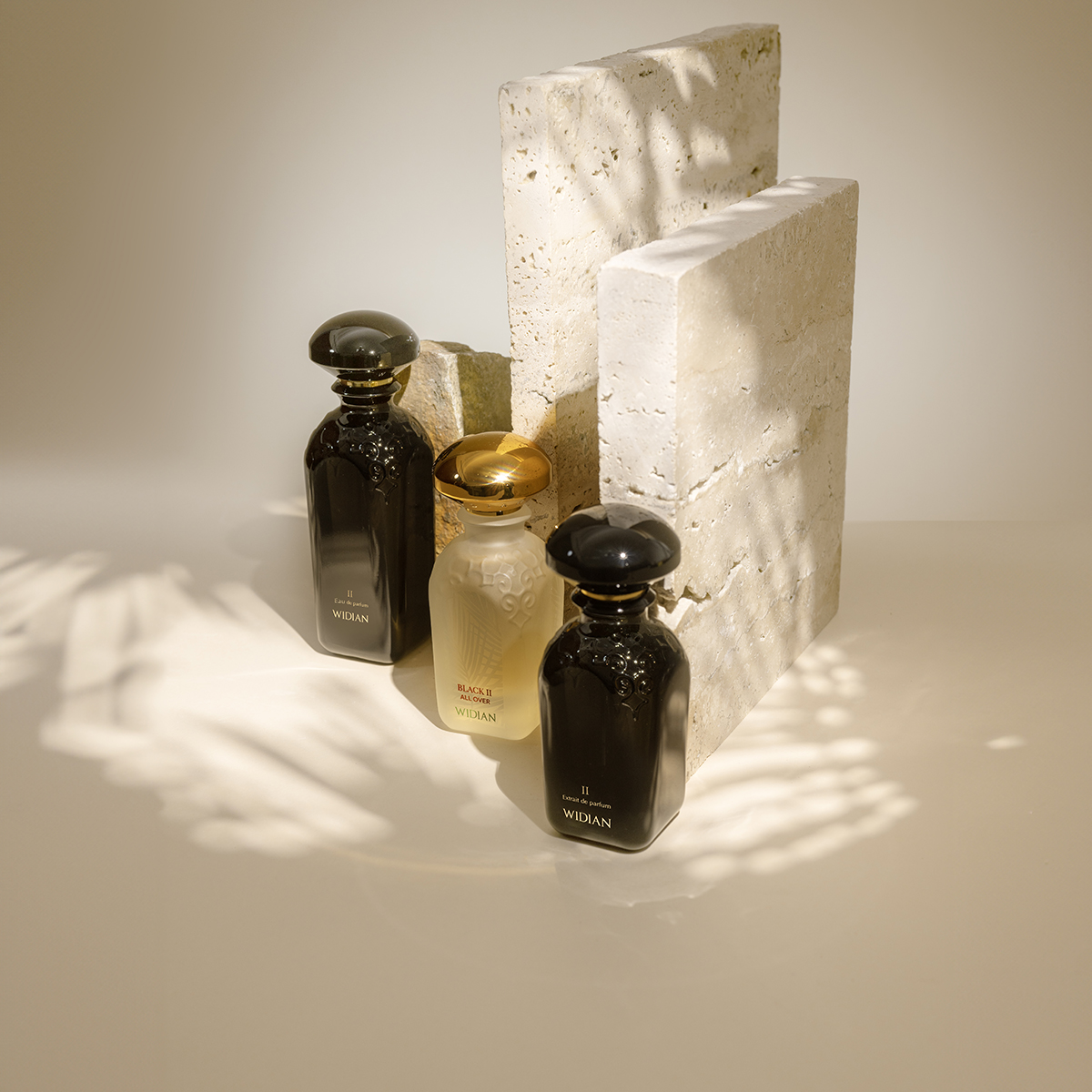 Black II All Over Hair Perfume 50ml