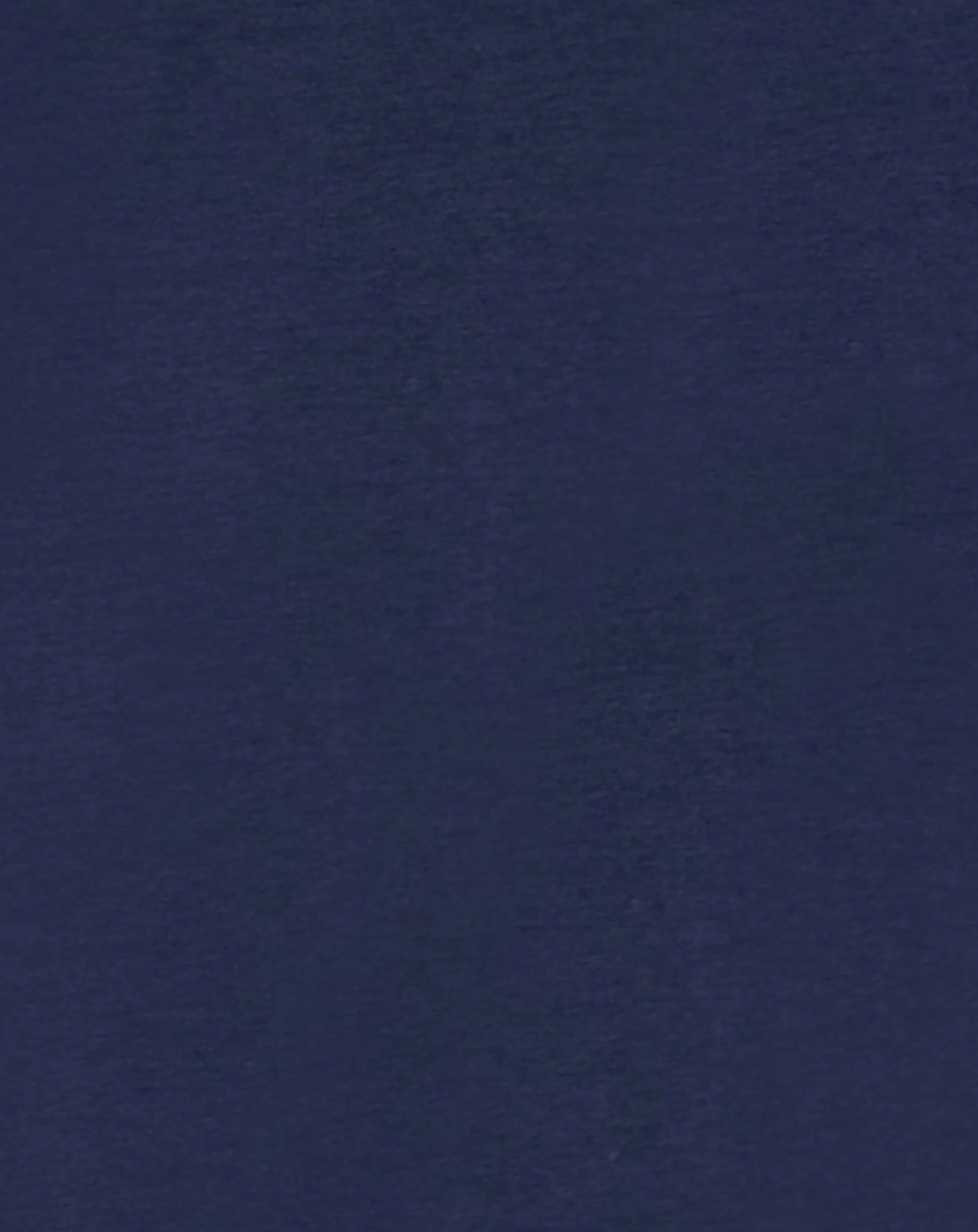 Langarmshirt UNICORN mit Pailletten in navy