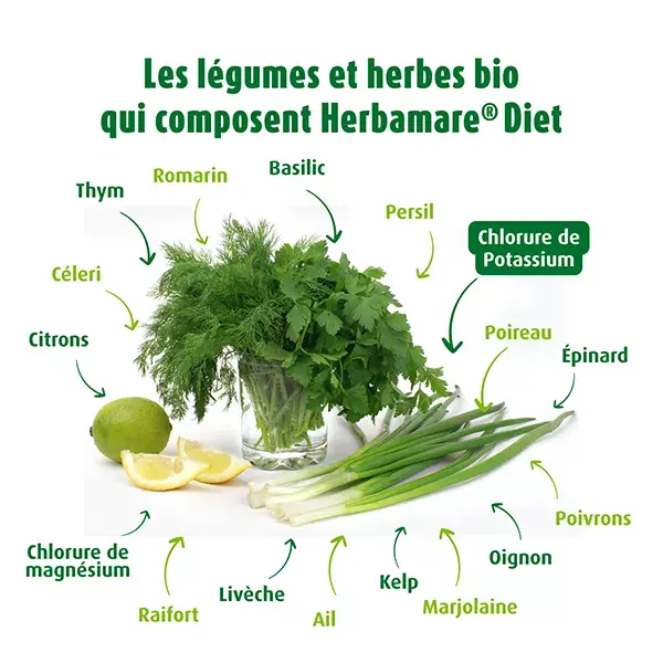 A.vogel Herbamare Diet Muito Baixo em Sódio Orgânico 125g