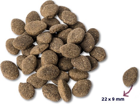 Renske Super Premium droogvoeding verse lam graanvrij 2 kg