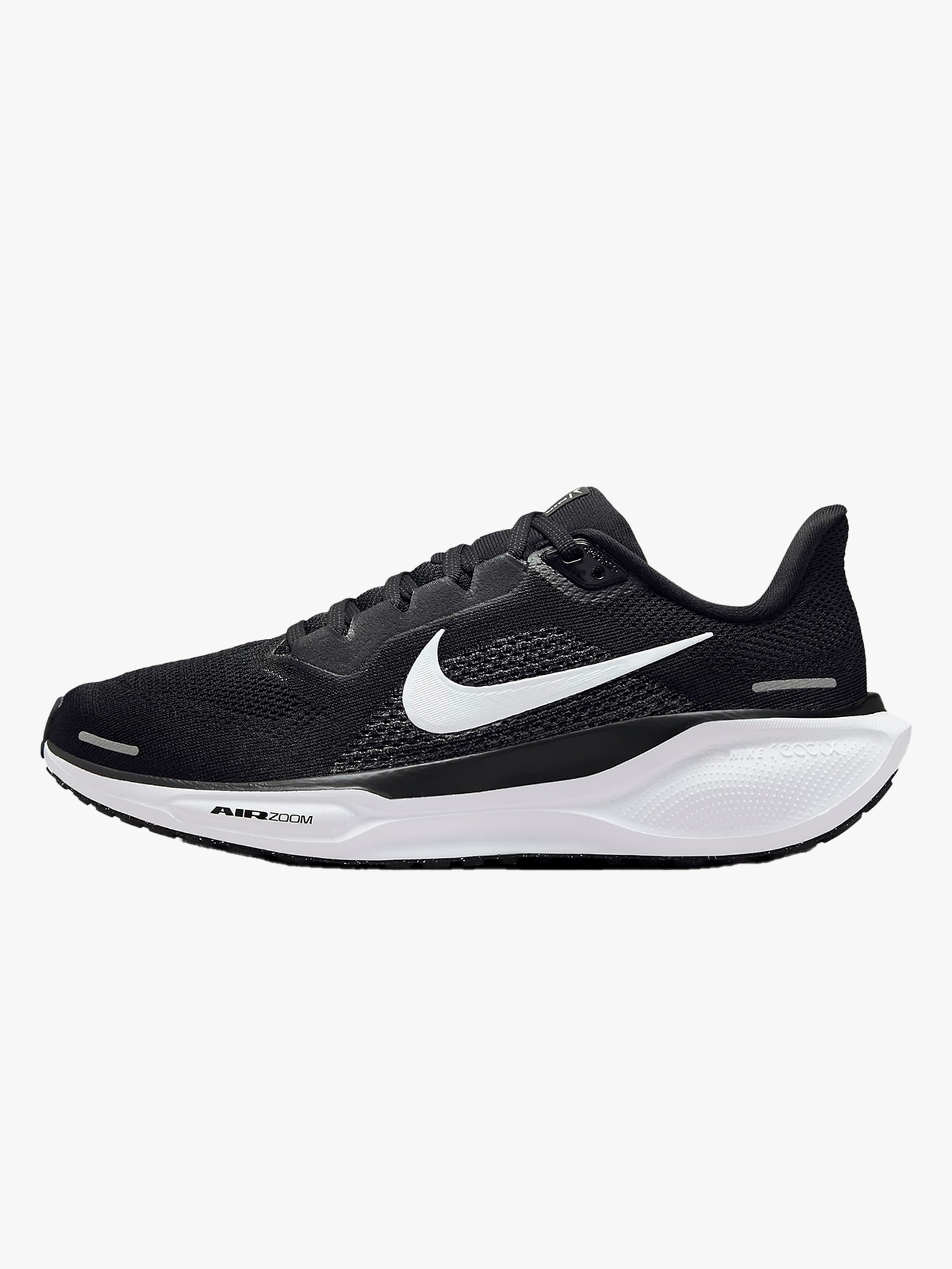 Pegasus 41