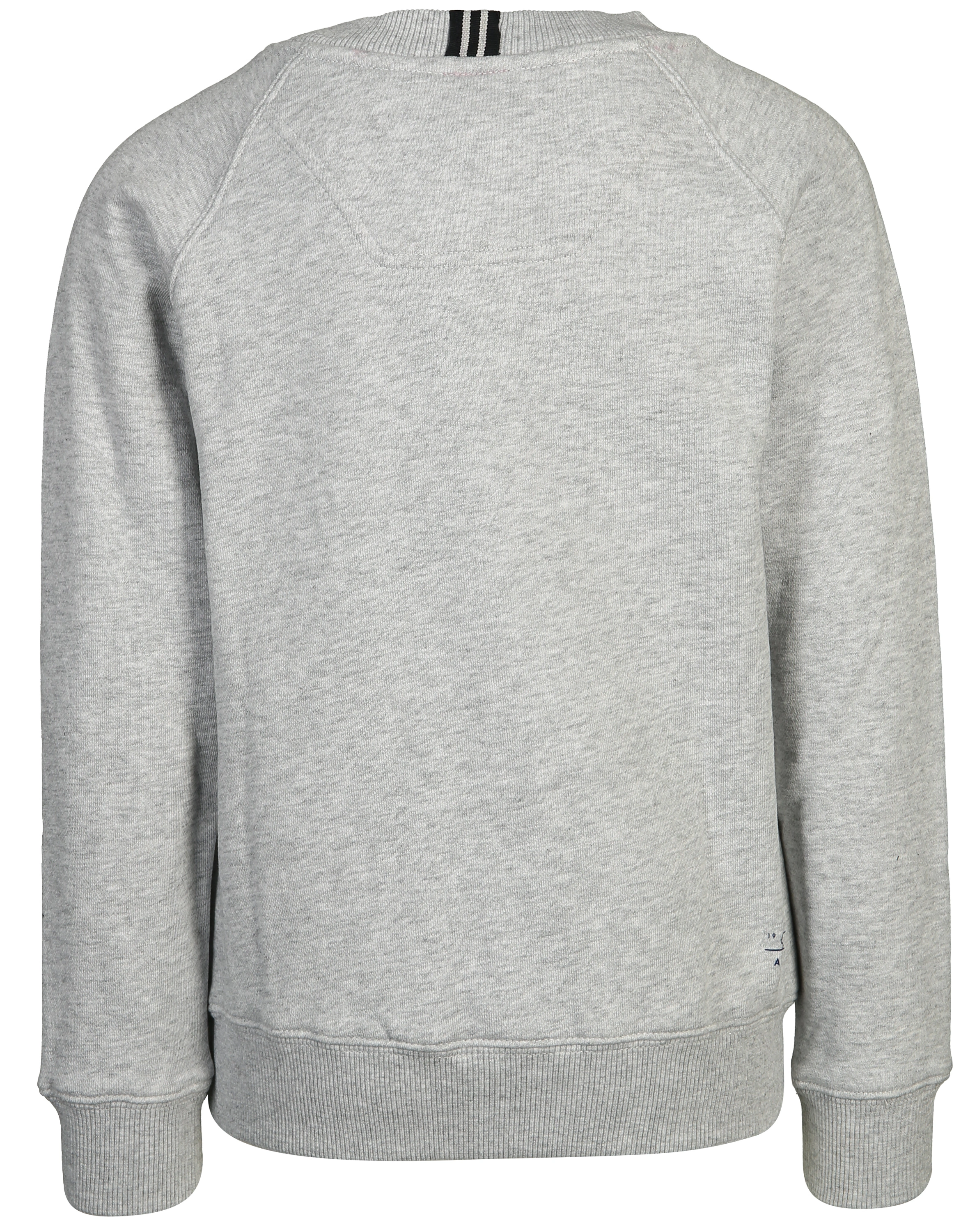 Sweatshirt VENTURA - DINO in grau