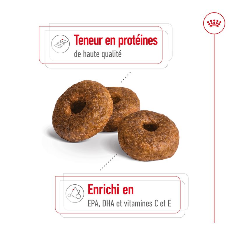 Royal Canin Medium Ageing 10+ à prix discount sur bitiba.fr
