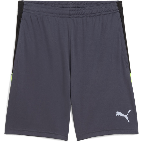 Puma LIGA Training Short