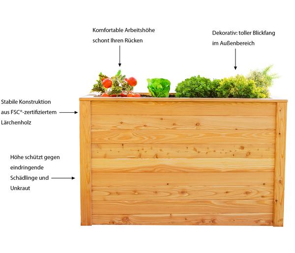 Westmann Holz-Hochbeet Lärche
