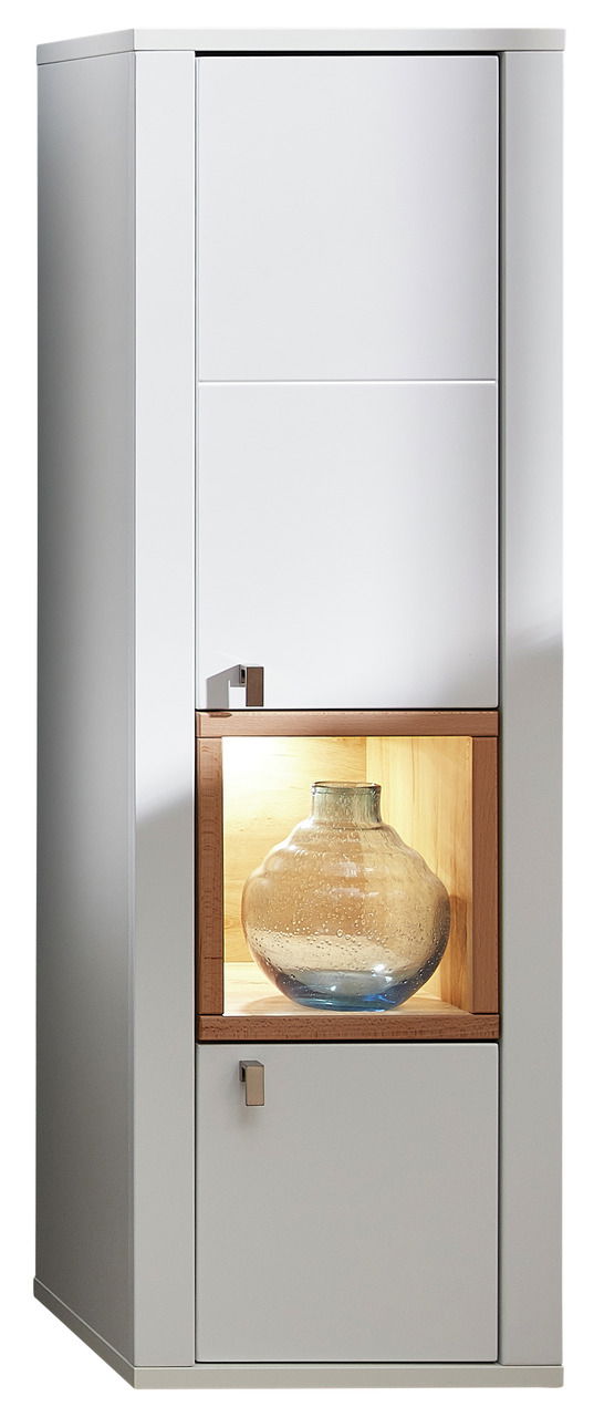 Z2 Hängevitrine SERPIO