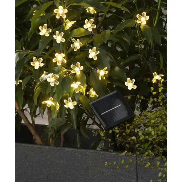 Solar-Lichterkette Blumen