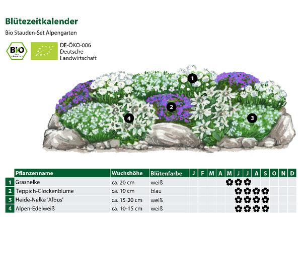 Bio Stauden-Set Alpengarten, 12-teilig