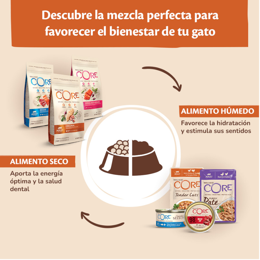 Salmão em flocos Wellness Core, lata de 79g para gatos.
