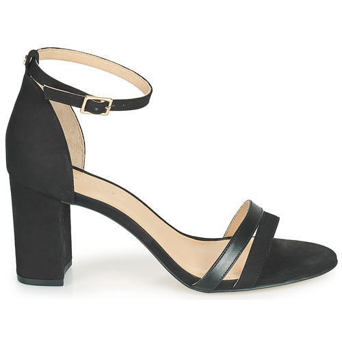 Cosmo Paris - ZADAU-BI Negro