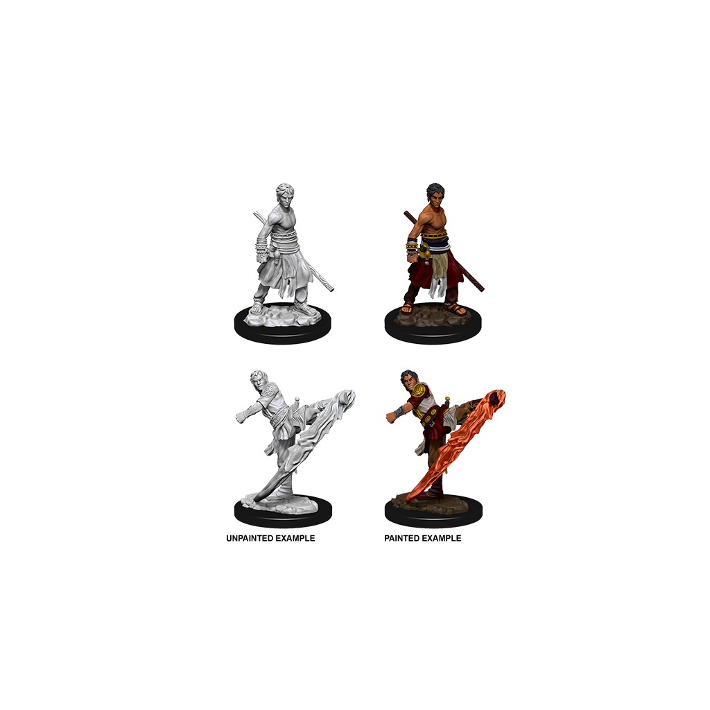 D&D Nolzur's Marvelous Unpainted Miniatures: Male Half-Elf Monk