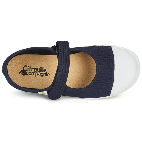 Citrouille et Compagnie - APSUT - Bleu marine