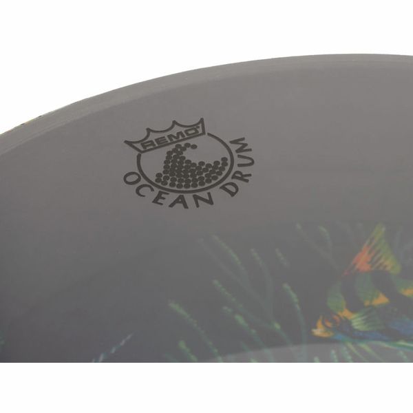 Remo 12