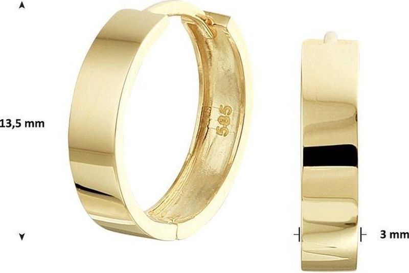 Oorringen - 14K Geelgoud - Scharnier - 10x3 mm