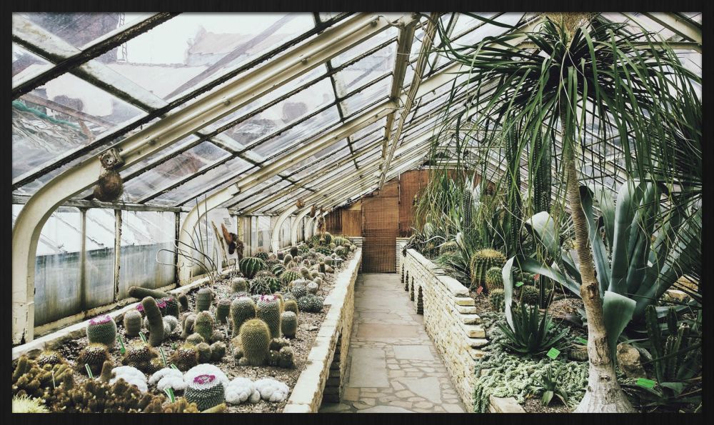 Schilderij Botanical Stories 013 (akoestische paneel)