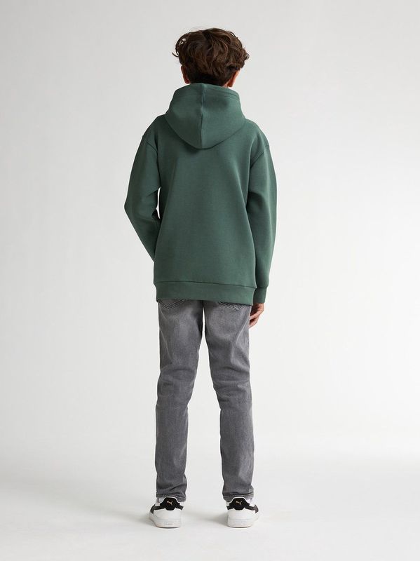 Petrol Industries - Siskiyou - Hooded Zip Sweater - Groen