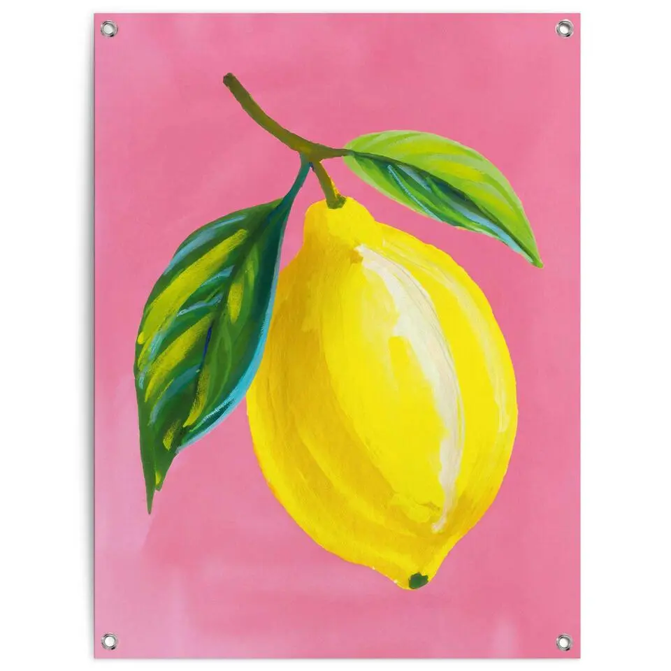 Tuinposter Lemon on Pink - 80x60cm - Geel