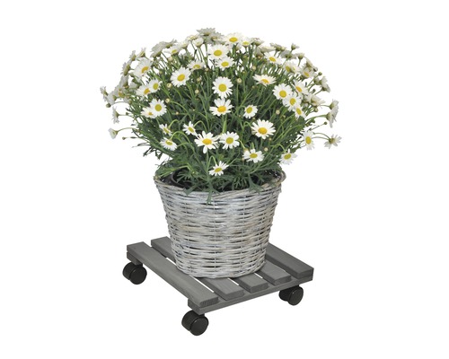 Wagner houten plantenwagen, 29 x 29 cm, antraciet