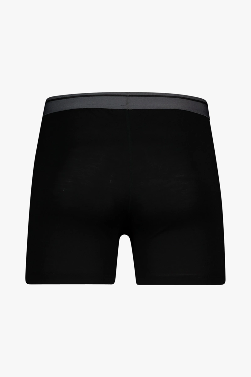 icebreaker Merino 150 Anatomica Herren Boxershort