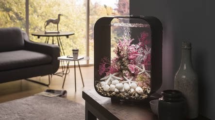 biOrb Life 60 MCR Zwart | Aquarium