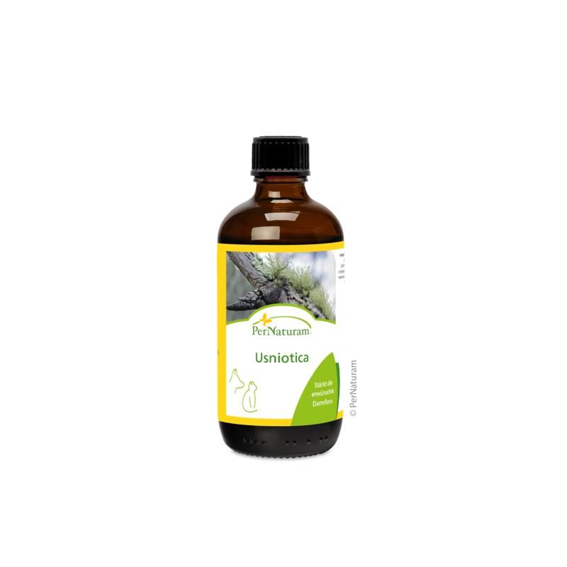 Pernaturam Usniotica