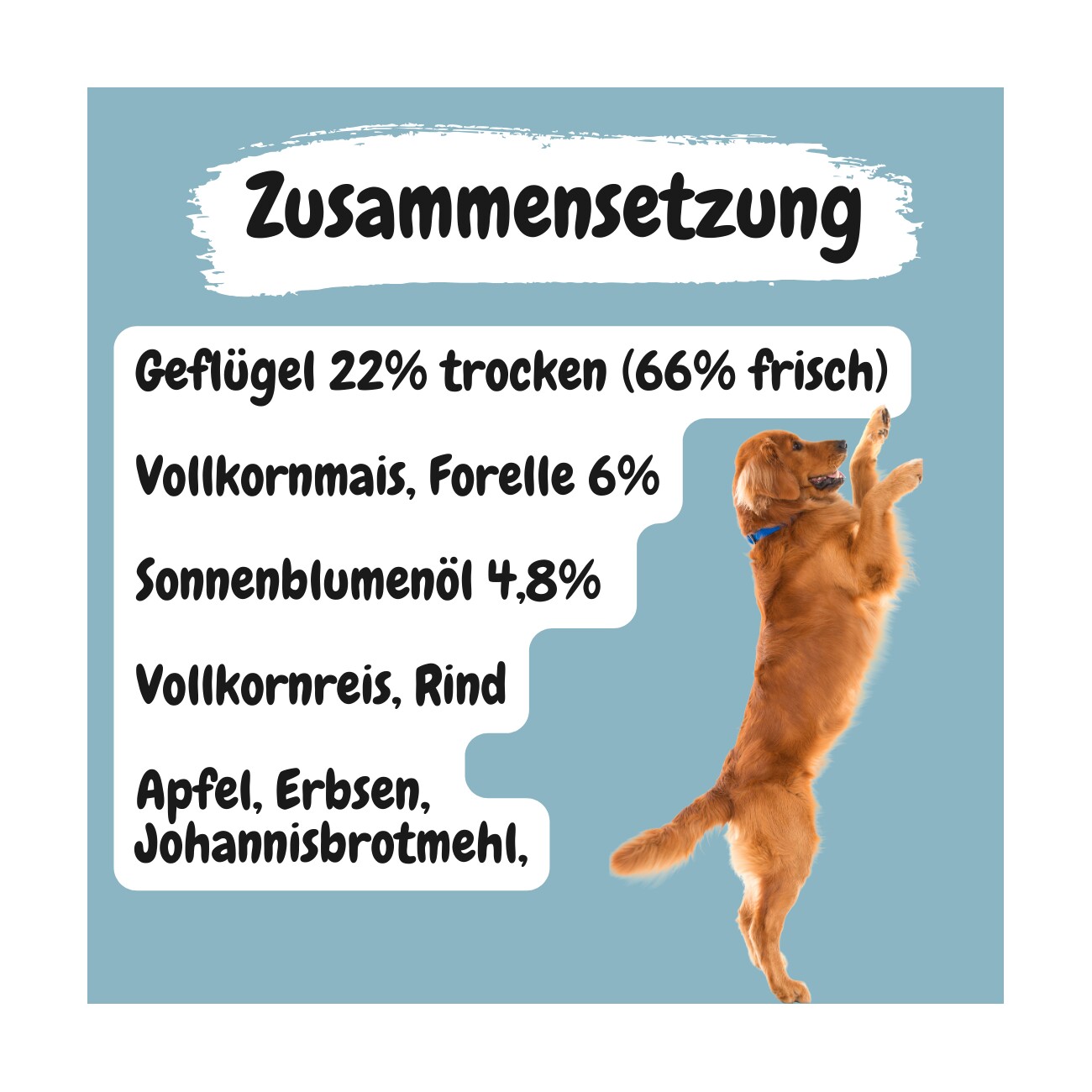 MyPetClub kaltgepresstes weizenfreies Hundefutter mit hohem Fleischanteil - 14.5 kg