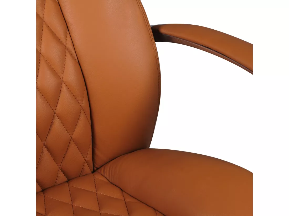 Design Chaise bureau Chaise exécutif Ergonomique Chaise de pivotant Cuir