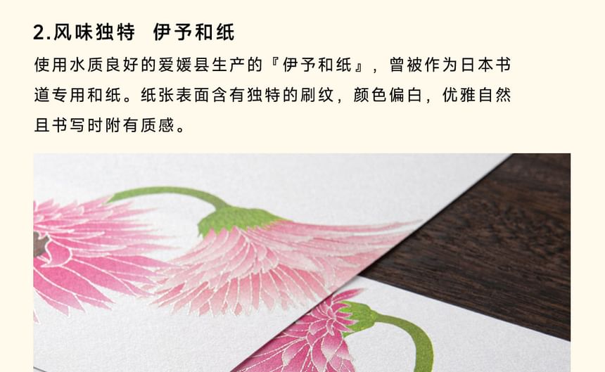 MIDORI JAPAN - Plantenprint envelop / briefpapier / ansichtkaart / set (verschillende ontwerpen)