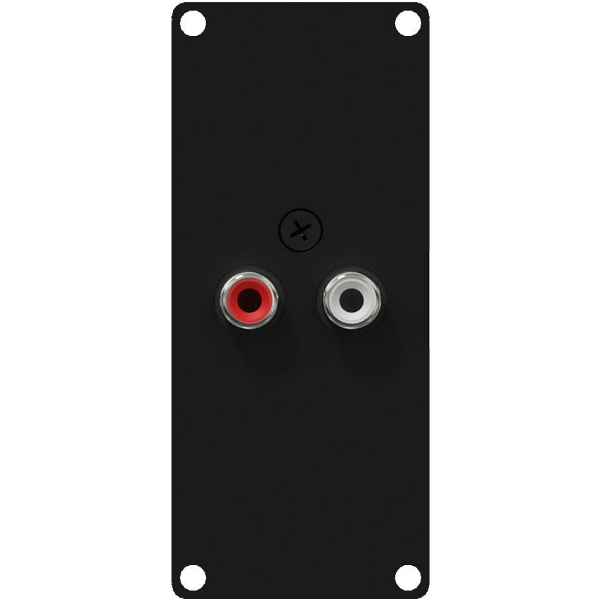 Caymon CASY132/B 2x RCA naar 2x 3pins terminal block module voor CASY-chassis