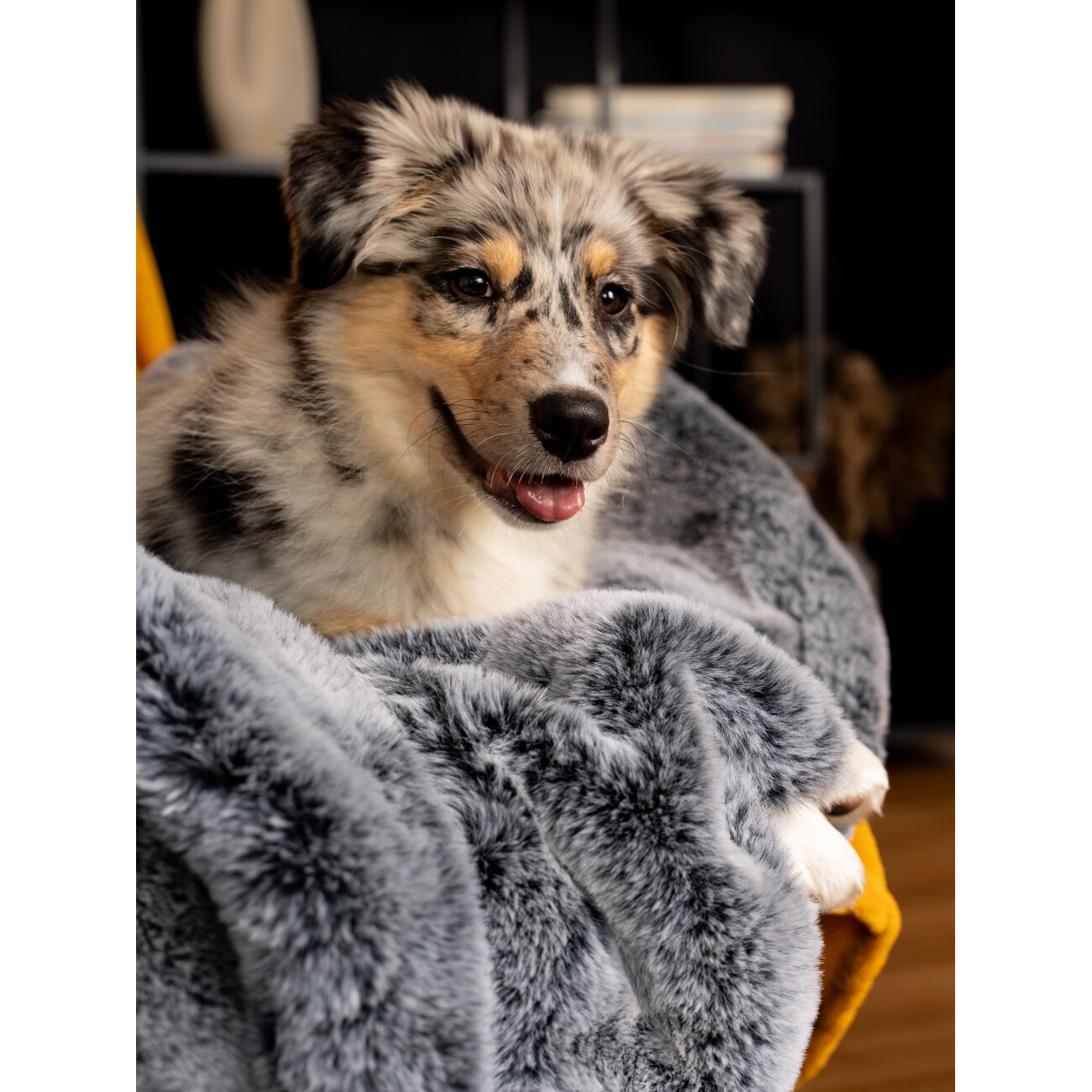 TrendPet Yuma Hundedecke XS