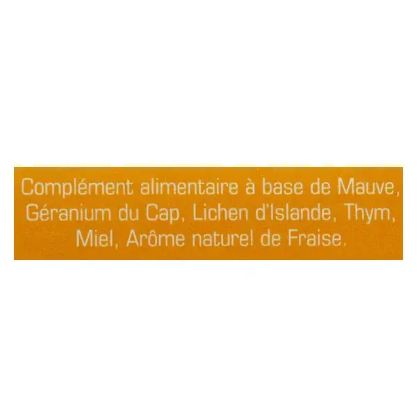 Lehning O.R.L Petitux Sirop 125ml