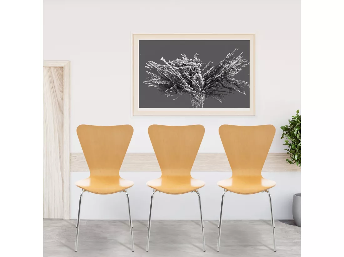 Lot de 2 Chaise de conférence - Bois & Nature - Nature - Calisto