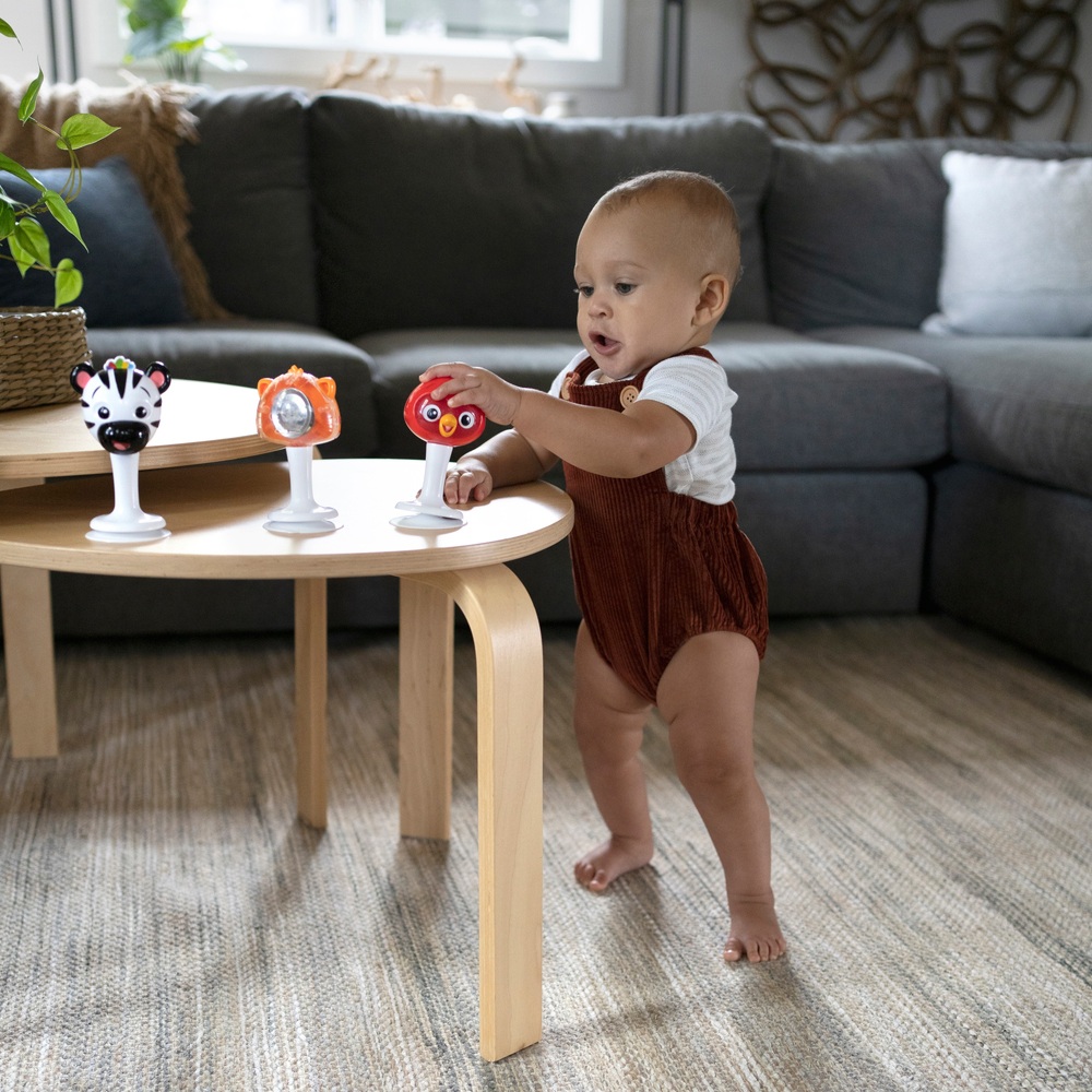 Baby Einstein Rassel- und Glöckchen-Trio zum Mitnehmen