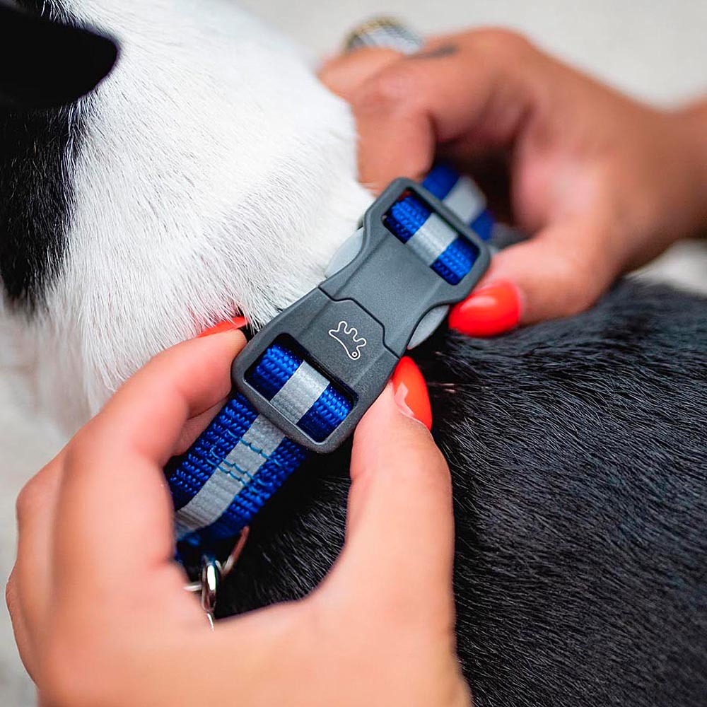 Collier réfléchissant pour chiens club reflex c20/56 en nylon avec boucle magnétique, idéal pour les promenades en soirée