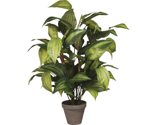 Kunstplant Hosta Ø 40 H 65 cm groen