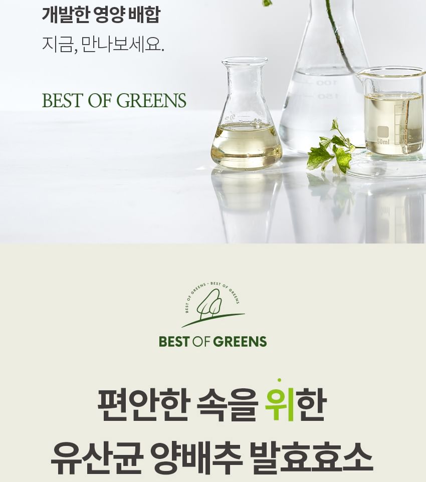 Vitaminedorp - Beste Groene Kool & Gefermenteerd Enzym