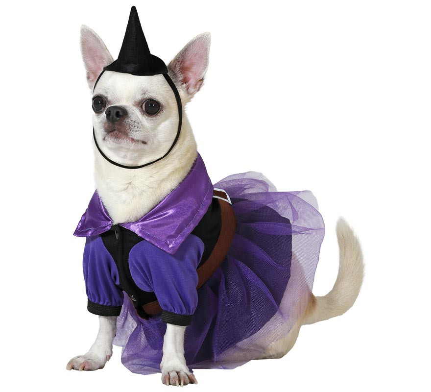Fantasia de bruxa roxa Atosa com chapéu para cães