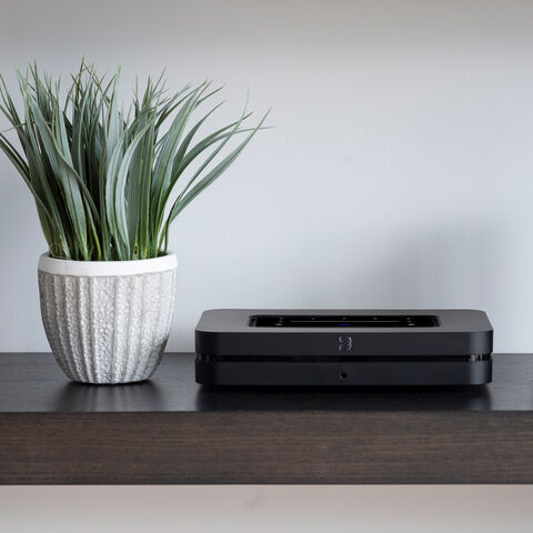 Koop Bluesound NODE (N130) Muziekstreamer | 5 Jaar Garantie Zwart