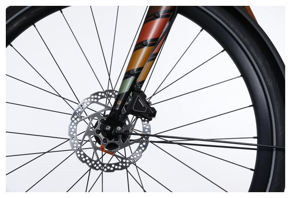 Vélo de Ville Electrique Bergamont E-Sweep Sport Shimano Claris 8V Mahle 250Wh Orange 2023 - Vélo d'Exposition