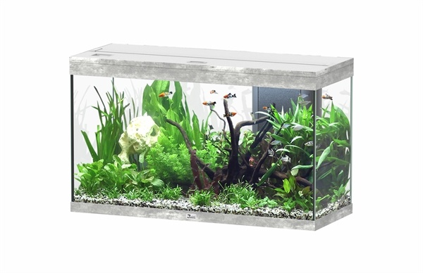Aquatlantis Splendid 100 aquarium | Inclusief LED en filter