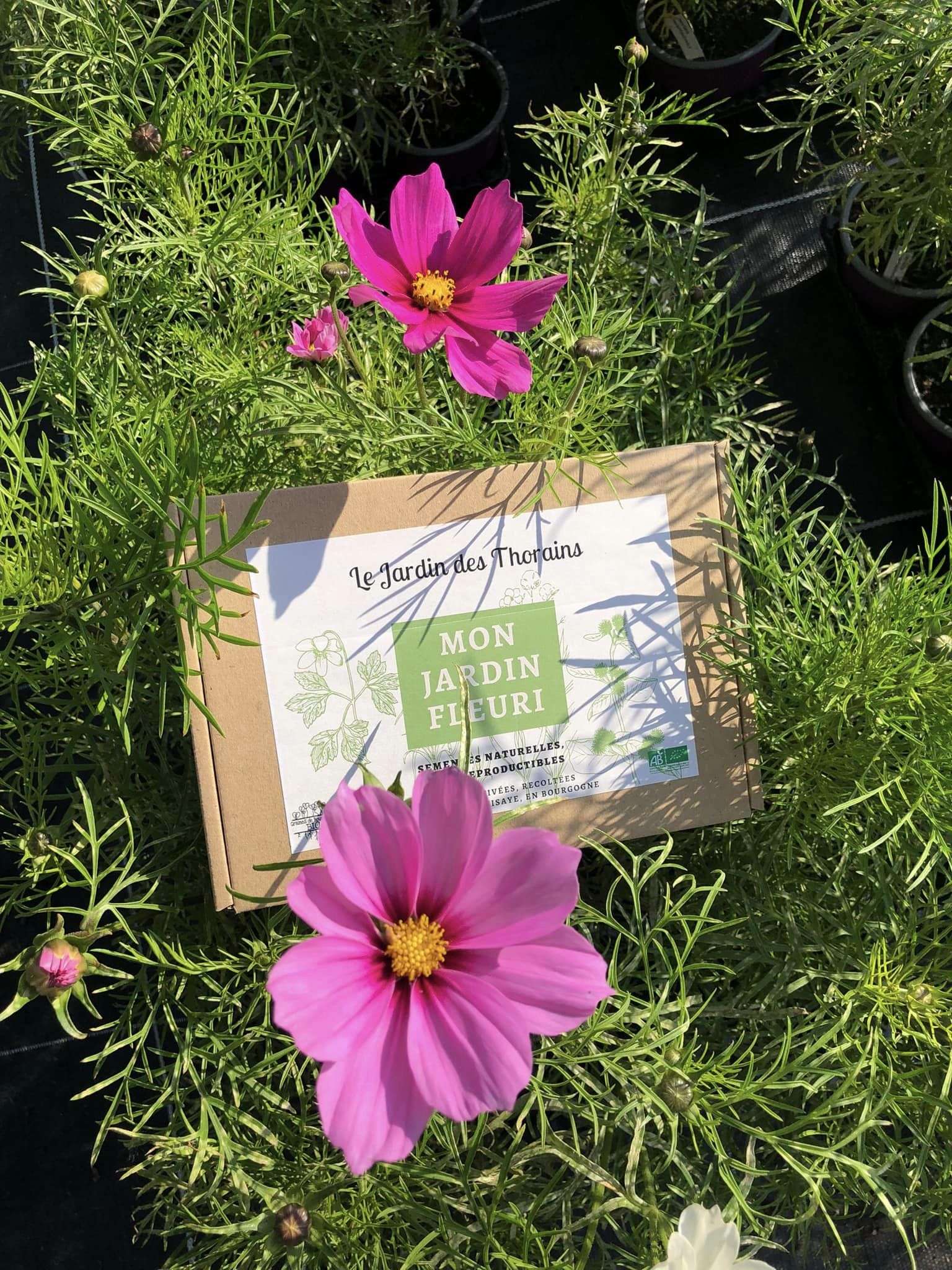 Coffret de graines à semer 