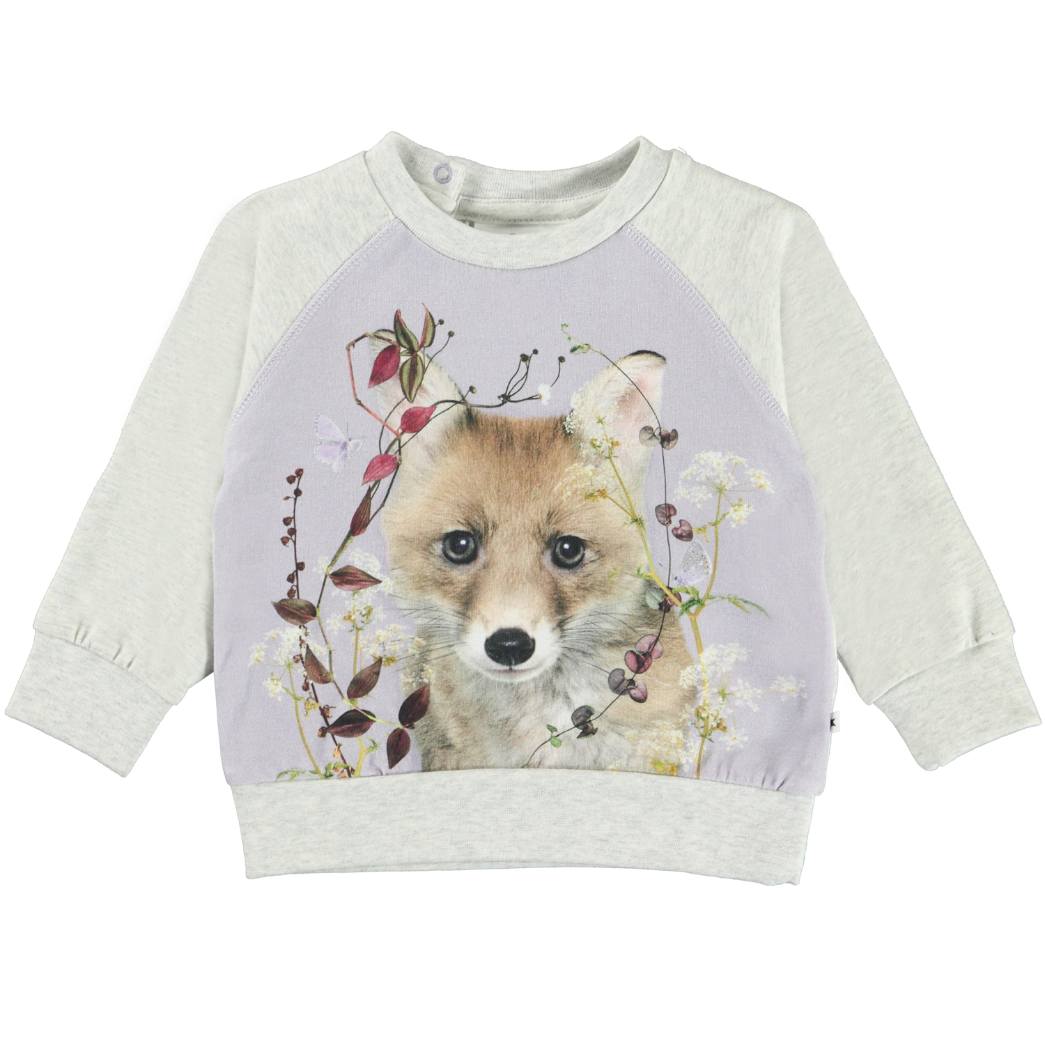 Elsa - Little Fox