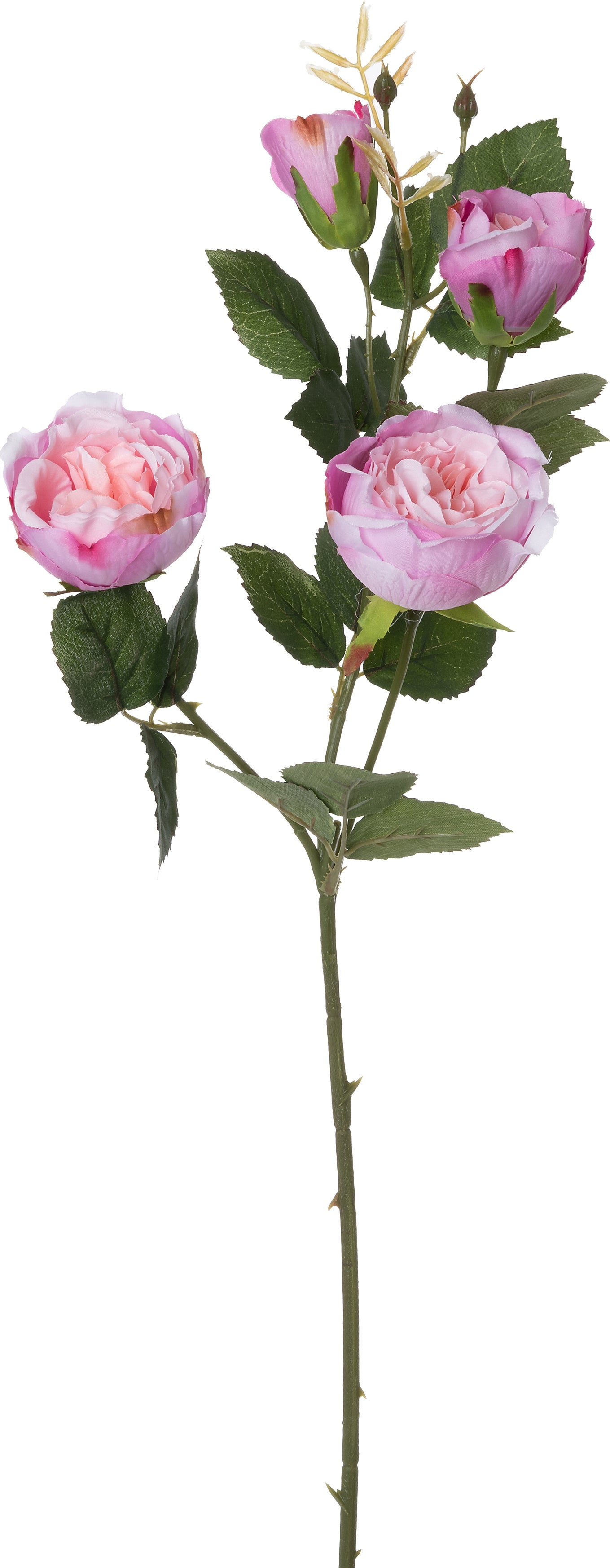 Intratuin kunstbloem Roos paars 59 cm