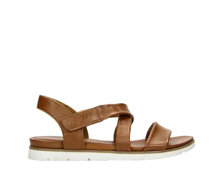 Cafe Moda 2NO003801 Cognac
